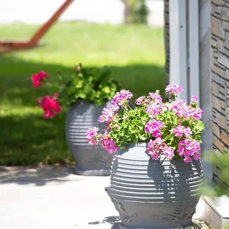 Nuestro Jardin *